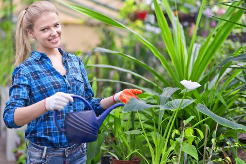 Gardener tools and cookie policy header for Gardening Services Alperton