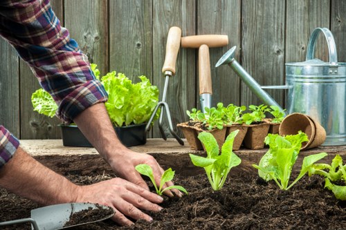 PayPal and bank transfer options for gardening services