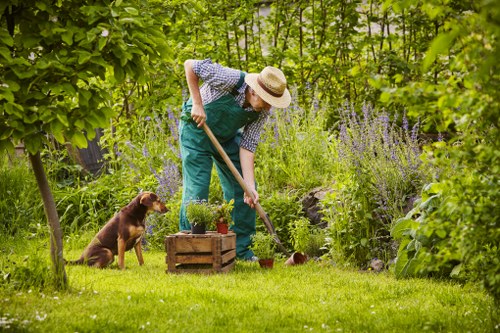 Garden clearance and maintenance work in Alperton