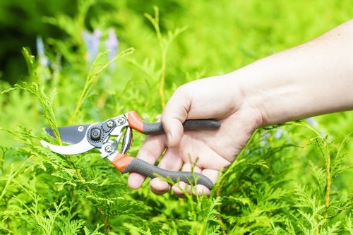 Gardening crew estimating waste and access during a site visit